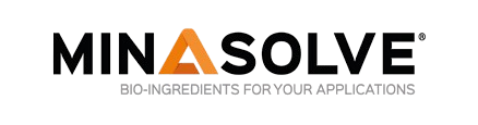 Minasolve Logo